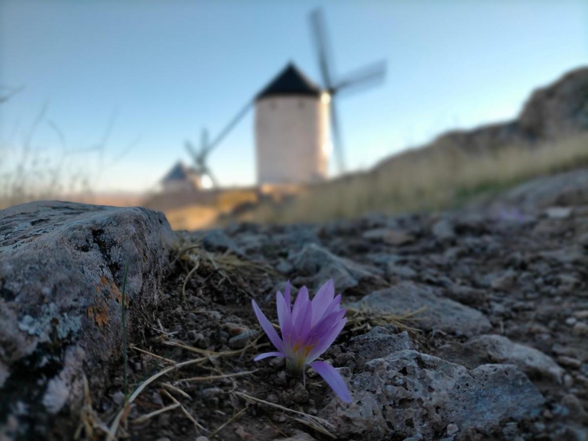 Azafrán Consuegra Vendégház Kültér fotó